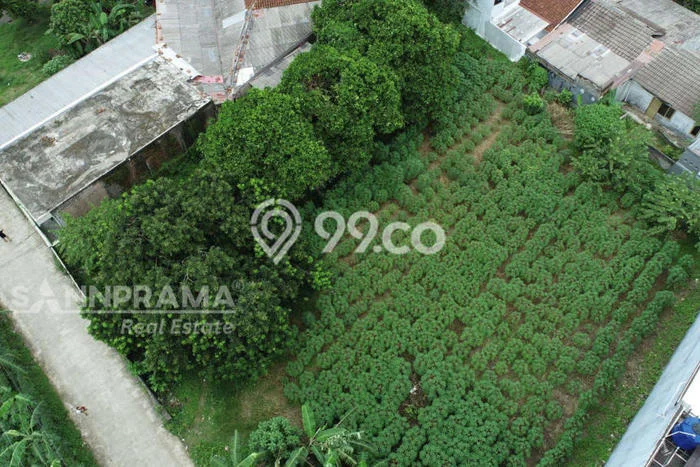 Tanah Dijual Lokasi Bogor Utara Bogor - Tanah Dijual Lokasi Bogor Utara Bogor -