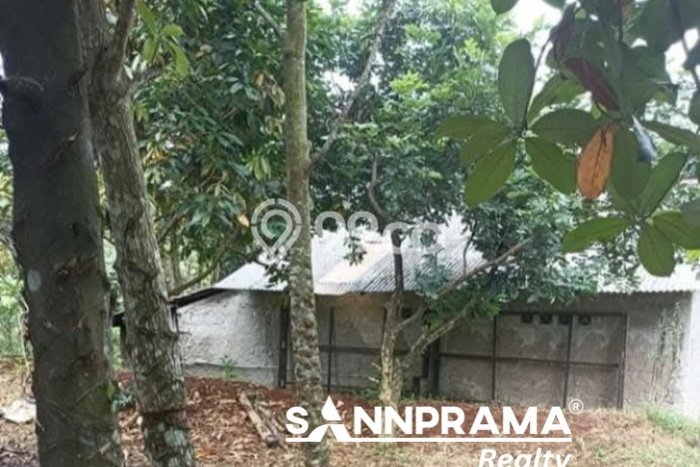 Kavling Tanah di Tajur Halang Dijual Luas 900m2 Legalitas - Kavling Tanah di Tajur Halang Dijual Luas 900m2 Legalitas -