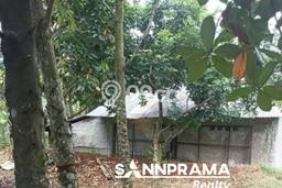 Kavling Tanah di Tajur Halang Dijual Luas 900m2 Legalitas - Kavling Tanah di Tajur Halang Dijual Luas 900m2 Legalitas -