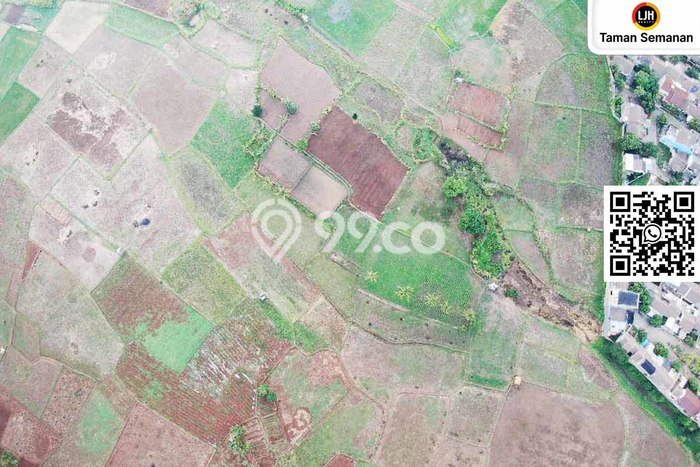 Jarang Ada! Tanah di Serang Punya Luas 65000m2 SHM Jarang Ada! Tanah di Serang Punya Luas 65000m2 SHM