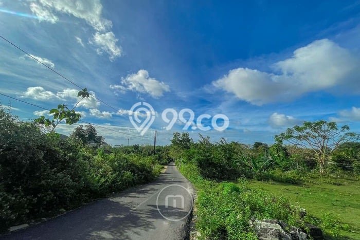 Tanah Dijual Area Strategis di Pecatu Badung 835m2 Tanah Dijual Area Strategis di Pecatu Badung 835m2