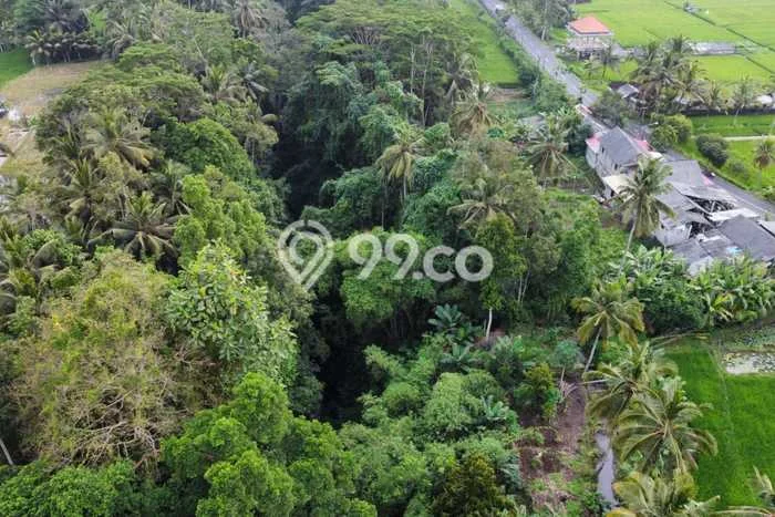 Tanah di Tampaksiring, Gianyar Luas 4700m2 Dijual Segera Tanah di Tampaksiring, Gianyar Luas 4700m2 Dijual Segera