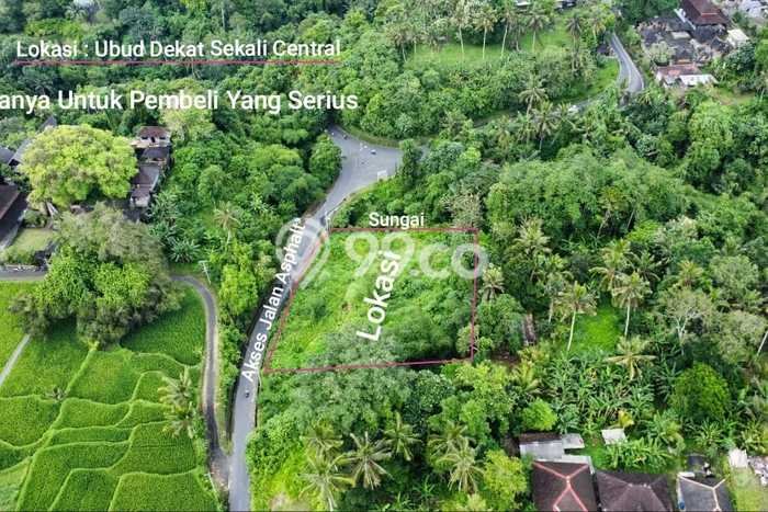 Tanah Premium Kawasan Pejeng, Luas 3500m2m², Dekat Pejeng, Gianyar, Gianyar Tanah Premium Kawasan Pejeng, Luas 3500m2m², Dekat Pejeng, Gianyar, Gianyar