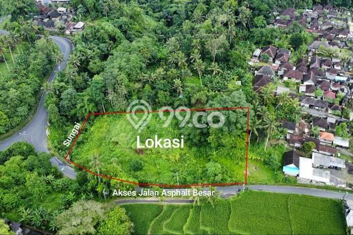Tanah Premium Kawasan Pejeng, Luas 3500m2m², Dekat Pejeng, Gianyar, Gianyar Tanah Premium Kawasan Pejeng, Luas 3500m2m², Dekat Pejeng, Gianyar, Gianyar