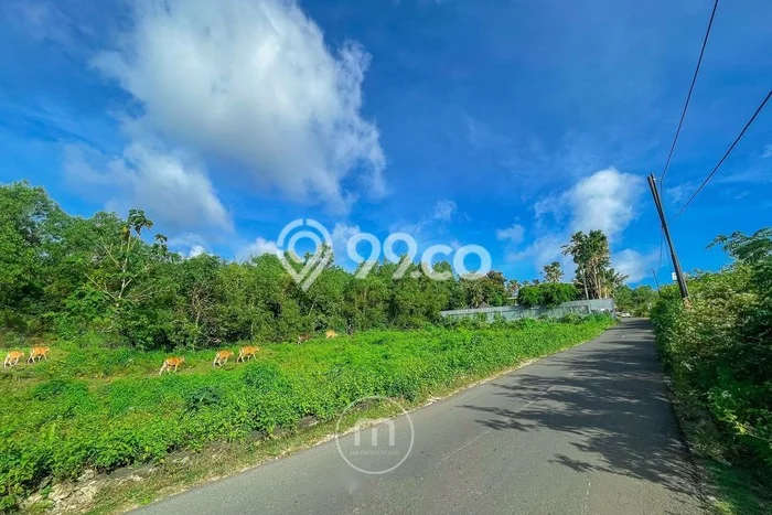 Tanah Investasi Dijual di Badung Punya Luas 835m2 Tanah Investasi Dijual di Badung Punya Luas 835m2