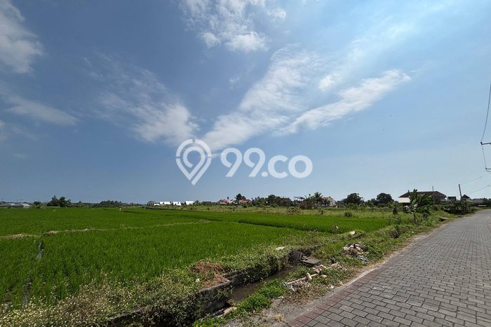 Tanah Dijual di Tabanan Seluas 1668m2 Strategis Tanah Dijual di Tabanan Seluas 1668m2 Strategis