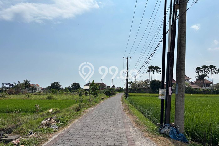 Tanah Dijual di Tabanan Seluas 1668m2 Strategis Tanah Dijual di Tabanan Seluas 1668m2 Strategis