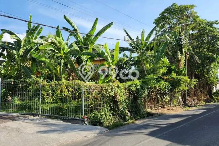Lahan Dijual Lokasi Strategis di Badung dengan Luas 500m2 Lahan Dijual Lokasi Strategis di Badung dengan Luas 500m2