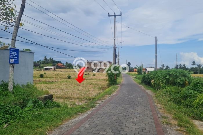 Tanah Dijual di Tabanan Seluas 1668m2 Strategis Tanah Dijual di Tabanan Seluas 1668m2 Strategis