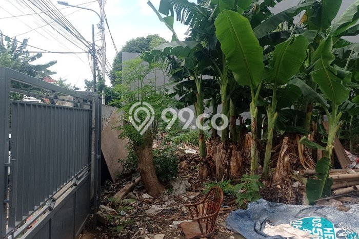 Tanah di Menteng, Jakarta Pusat Luas 649m2 Dijual Segera Tanah di Menteng, Jakarta Pusat Luas 649m2 Dijual Segera