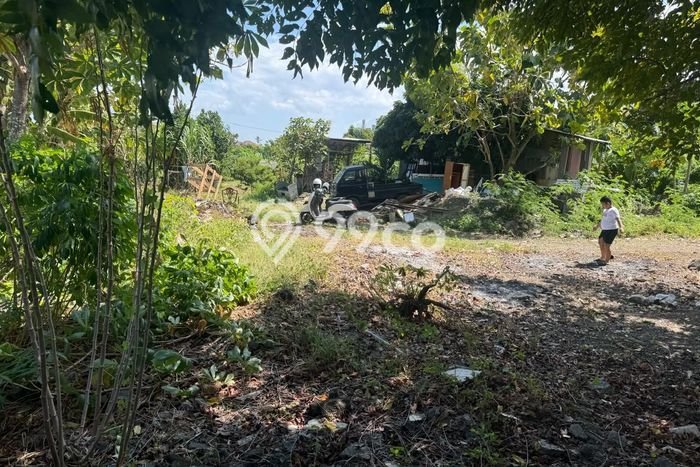 Lahan untuk Disewa di Denpasar Luas 100m2 Lahan untuk Disewa di Denpasar Luas 100m2