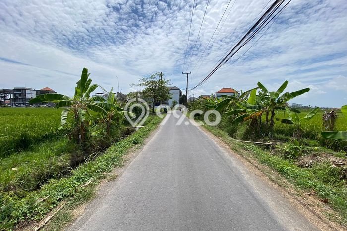 Tanah untuk Disewa di Badung Luas 2400m2 Tanah untuk Disewa di Badung Luas 2400m2