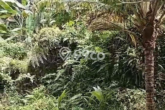 Tanah Dijual Lokasi Strategis di Tabanan dengan Luas 3450m2 Tanah Dijual Lokasi Strategis di Tabanan dengan Luas 3450m2