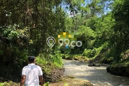 Tanah Dijual Lokasi Strategis di Gianyar dengan Luas 8300m2 Tanah Dijual Lokasi Strategis di Gianyar dengan Luas 8300m2
