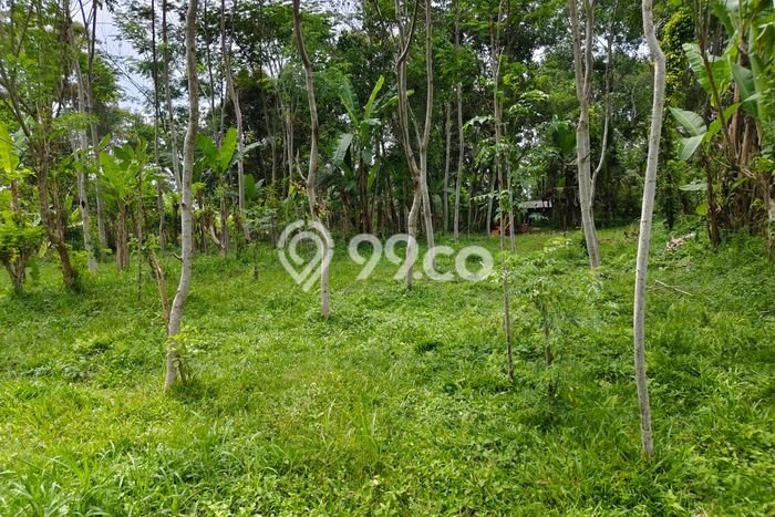 Tanah Dijual Area Strategis di Taro Gianyar 17900m2 Tanah Dijual Area Strategis di Taro Gianyar 17900m2