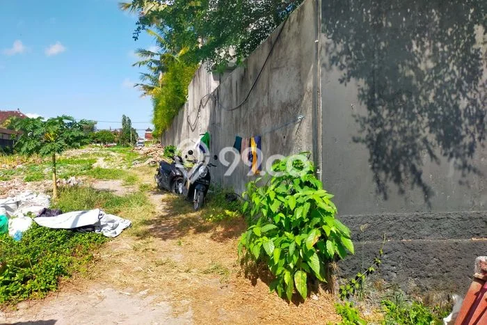 Tanah Kavling Dijual di Badung dengan Spesifikasi 1100m2 Tanah Kavling Dijual di Badung dengan Spesifikasi 1100m2