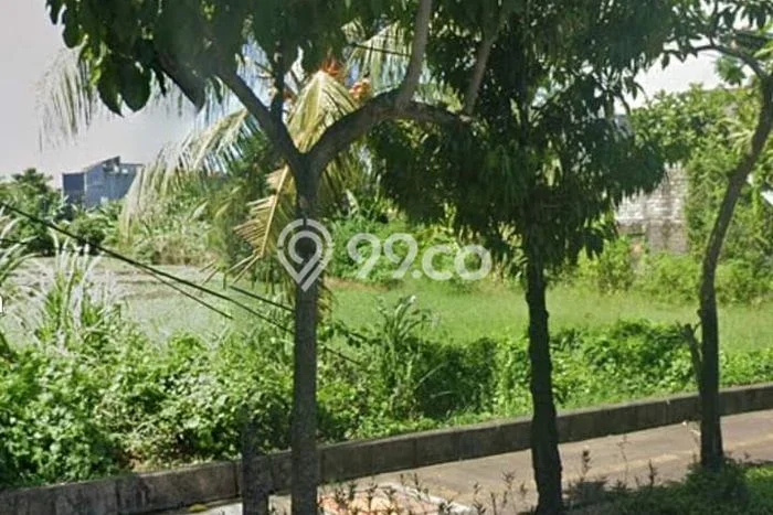 Tanah Disewa Strategis di Badung Luas 2000m2 Tanah Disewa Strategis di Badung Luas 2000m2