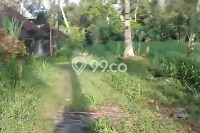 Tanah Kavling Dijual di Gianyar dengan Spesifikasi 7500m2 Tanah Kavling Dijual di Gianyar dengan Spesifikasi 7500m2