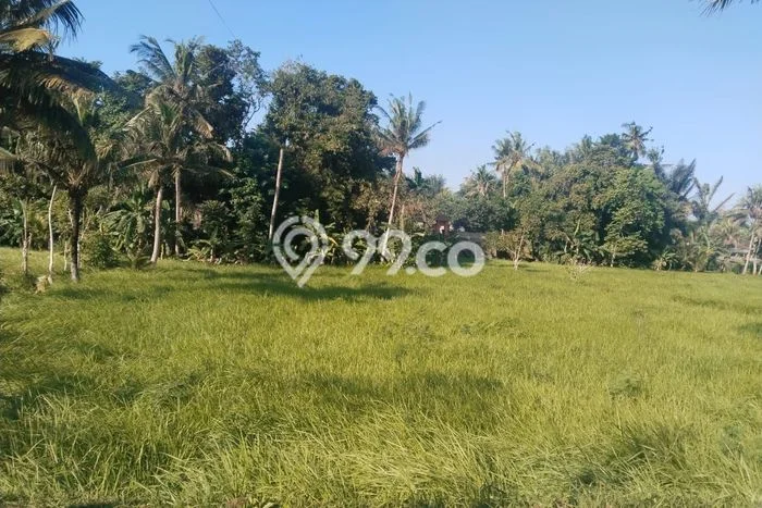 Tanah Dijual di Gianyar Seluas 1280m2 Strategis Tanah Dijual di Gianyar Seluas 1280m2 Strategis