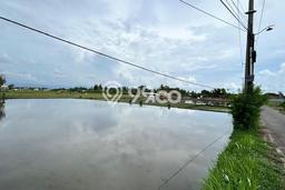 Untuk Dijual Tanah 800m2 di Belalang, Tabanan Untuk Dijual Tanah 800m2 di Belalang, Tabanan