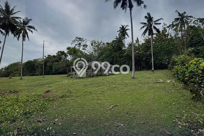 Dijual Tanah di Tabanan, Luas 18000m2 - Dijual Tanah di Tabanan, Luas 18000m2 -