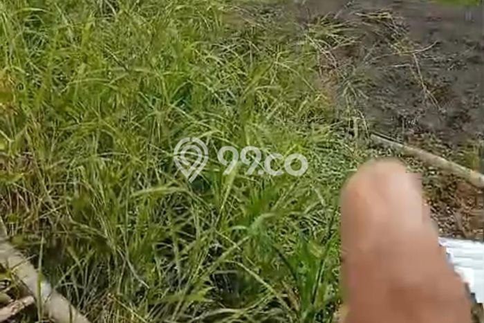 Disewakan Tanah di Badung, Luas 1300m2 Area Berkembang Disewakan Tanah di Badung, Luas 1300m2 Area Berkembang