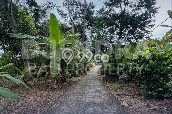 Dijual Tanah di Tabanan, Luas 18000m2 - Dijual Tanah di Tabanan, Luas 18000m2 -