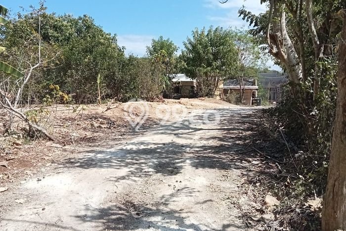 Tanah Disewa di Pecatu Strategis dan Memiliki Luas 20000m2 Tanah Disewa di Pecatu Strategis dan Memiliki Luas 20000m2