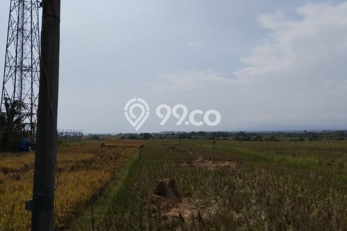 Tanah Lokasi Strategis Kawasan Kelating, Luas 1200m², Dekat ke Fasilitas Tanah Lokasi Strategis Kawasan Kelating, Luas 1200m², Dekat ke Fasilitas