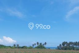Dijual Tanah Lokasi Beraban, Tabanan Seluas 3500m2 Dijual Tanah Lokasi Beraban, Tabanan Seluas 3500m2