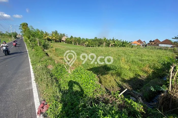 Tanah Kavling Dijual di Sibang Gede, Badung dengan Luas Tanah 4350m2 Tanah Kavling Dijual di Sibang Gede, Badung dengan Luas Tanah 4350m2
