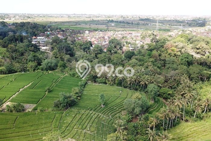 Tanah Disewa Strategis di Tabanan Luas 10000m2 Tanah Disewa Strategis di Tabanan Luas 10000m2