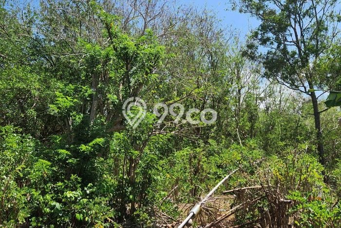 Tanah Kavling untuk Dijual di Kuta Selatan Badung 1800m2 Tanah Kavling untuk Dijual di Kuta Selatan Badung 1800m2