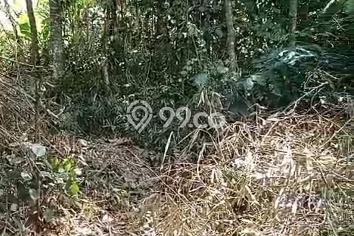 Tanah Dijual Lokasi Strategis di Tabanan dengan Luas 3450m2 Tanah Dijual Lokasi Strategis di Tabanan dengan Luas 3450m2