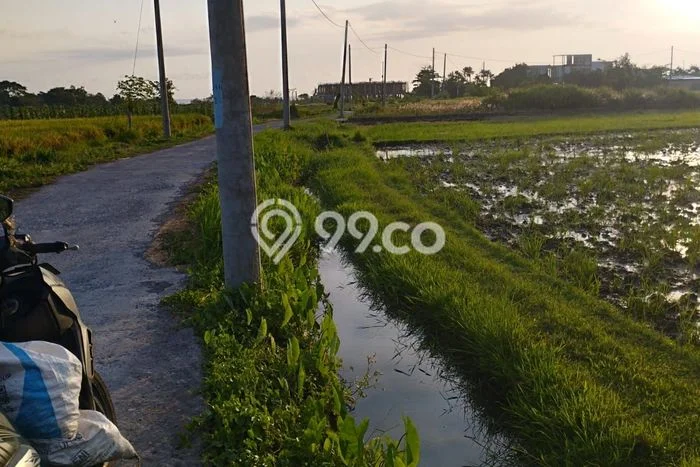 Kavling Tanah untuk Disewa di Belalang Lahan Luas 4000m2 Kavling Tanah untuk Disewa di Belalang Lahan Luas 4000m2