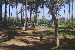 Tanah Dijual Lokasi Bugbug, Karangasem Luas 130000m2 Legalitas Aman Tanah Dijual Lokasi Bugbug, Karangasem Luas 130000m2 Legalitas Aman