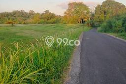 Dijual Tanah di Tabanan, Luas 2900m2 - Dijual Tanah di Tabanan, Luas 2900m2 -