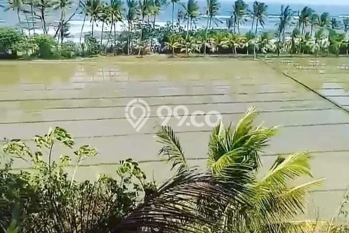 Tanah Kavling Dijual di Tabanan dengan Spesifikasi 2050m2 Tanah Kavling Dijual di Tabanan dengan Spesifikasi 2050m2
