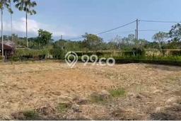 AREA PROSPEKTIF! Tanah di Nyanyi, Luas 502m2m², Akses Fasilitas Umum AREA PROSPEKTIF! Tanah di Nyanyi, Luas 502m2m², Akses Fasilitas Umum