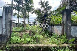 Lahan Kosong Dijual di Ubud, Gianyar, Luas 1950m2 Area Strategis Lahan Kosong Dijual di Ubud, Gianyar, Luas 1950m2 Area Strategis