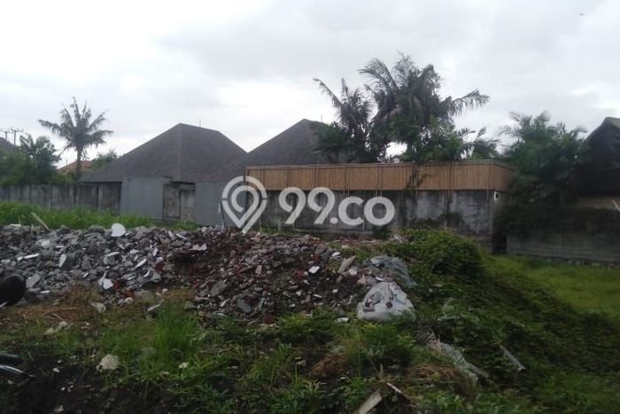 Tanah Kavling Disewakan di Umalas dengan Luas 500m2 Tanah Kavling Disewakan di Umalas dengan Luas 500m2