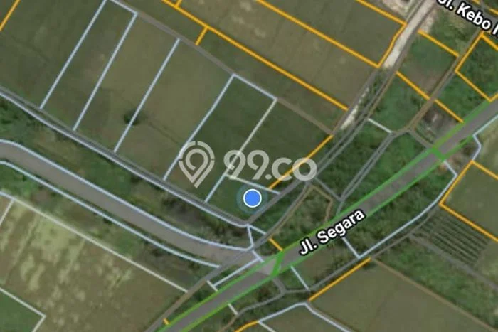 Tanah Dijual Lokasi Kediri, Tabanan Luas 6600m2 Legalitas Aman Tanah Dijual Lokasi Kediri, Tabanan Luas 6600m2 Legalitas Aman
