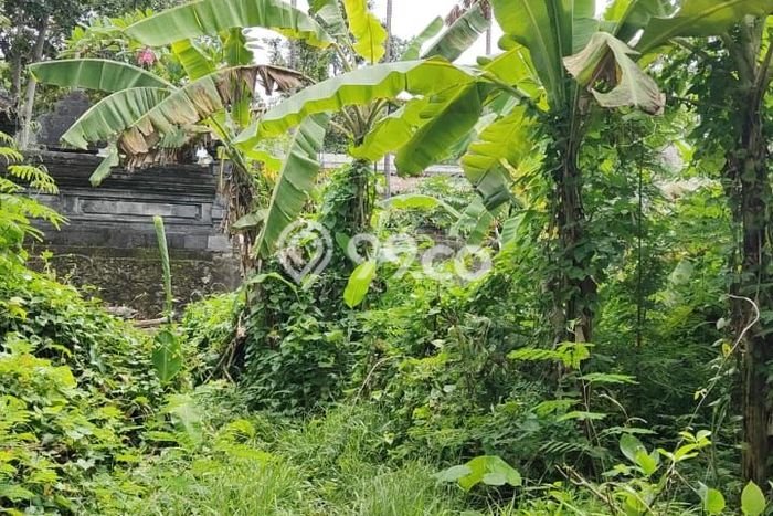 Tanah Disewa Strategis di Badung Luas 1320m2 Tanah Disewa Strategis di Badung Luas 1320m2