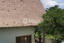 Rumah Mewah 0 KT 0 KM di Kompleks Cluster Seririt, Buleleng Rumah Mewah 0 KT 0 KM di Kompleks Cluster Seririt, Buleleng