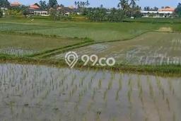 Dijual Tanah 2880m2 di Singapadu, Gianyar Dijual Tanah 2880m2 di Singapadu, Gianyar