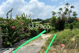Untuk Disewa Tanah di Badung, Luas 1500m2 Area Berkembang Untuk Disewa Tanah di Badung, Luas 1500m2 Area Berkembang