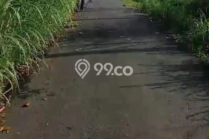 Tanah Kavling Dijual di Gianyar dengan Spesifikasi 7500m2 Tanah Kavling Dijual di Gianyar dengan Spesifikasi 7500m2