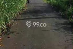 Tanah Kavling Dijual di Gianyar dengan Spesifikasi 7500m2 Tanah Kavling Dijual di Gianyar dengan Spesifikasi 7500m2