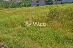 Disewakan Tanah di Munggu Badung Seluas 1500m2 Disewakan Tanah di Munggu Badung Seluas 1500m2