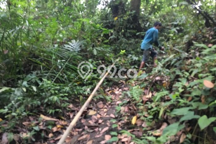 Tanah Siap Bangun Dijual di Tabanan Punya Luas 12350m2 Tanah Siap Bangun Dijual di Tabanan Punya Luas 12350m2